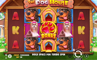 The Dog House slotimÀng Eesti mÀngijatele Highroller online kasiinos